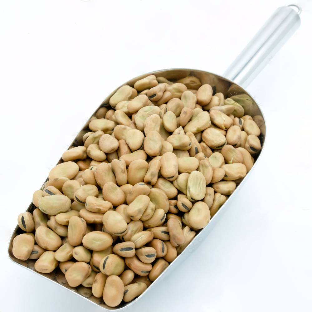 فول حسوبة