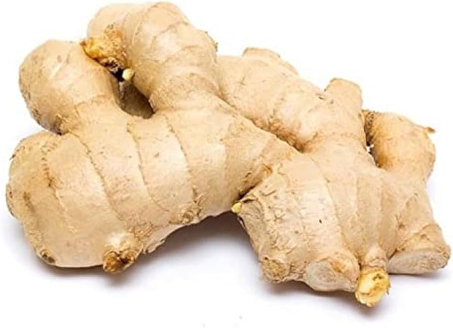 61lID48p9WL. AC UF8941000 QL80