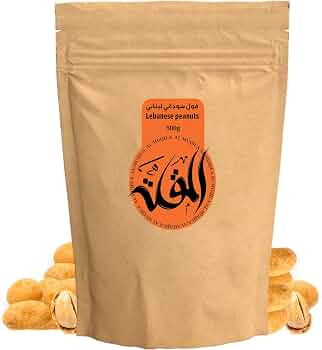 سوداني لبناني: قصة تداخل ثقافي في قلب الوطن العربي 11 71ONaHyhgJL. AC UF350350 QL50